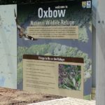 Oxbow1